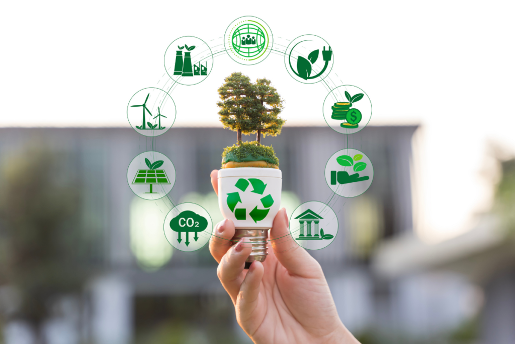 sustainability-certifications-to-prevent-greenwashing-issues