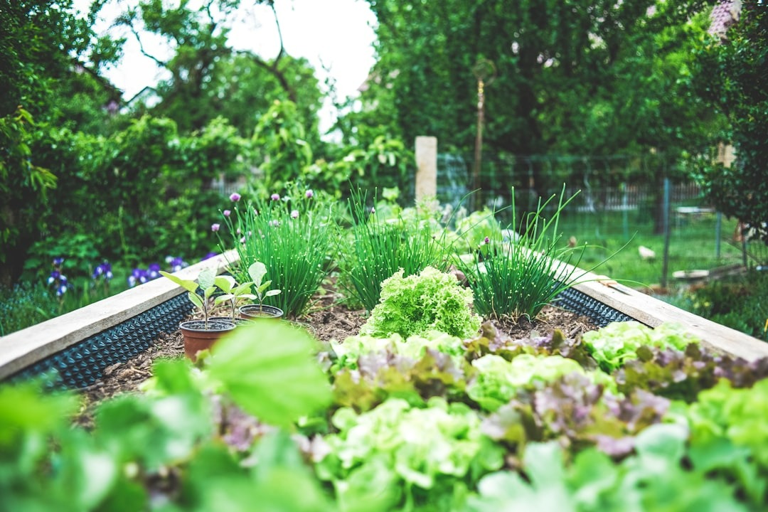 gardening is one of the best ways to start your sustainable living journey