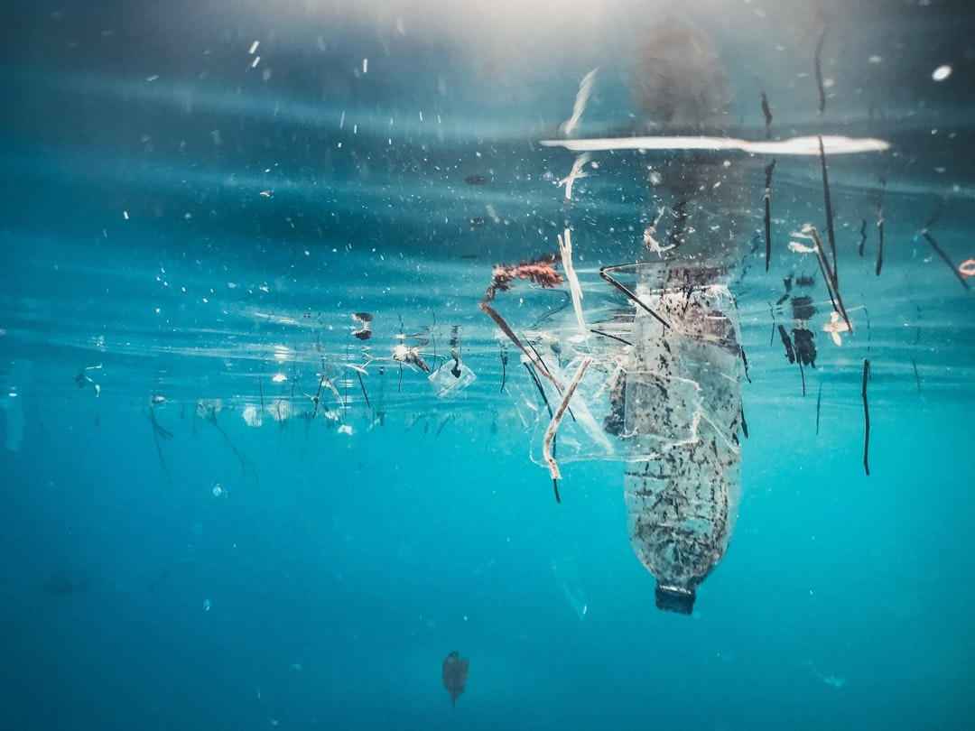 single-use plastic in the sea