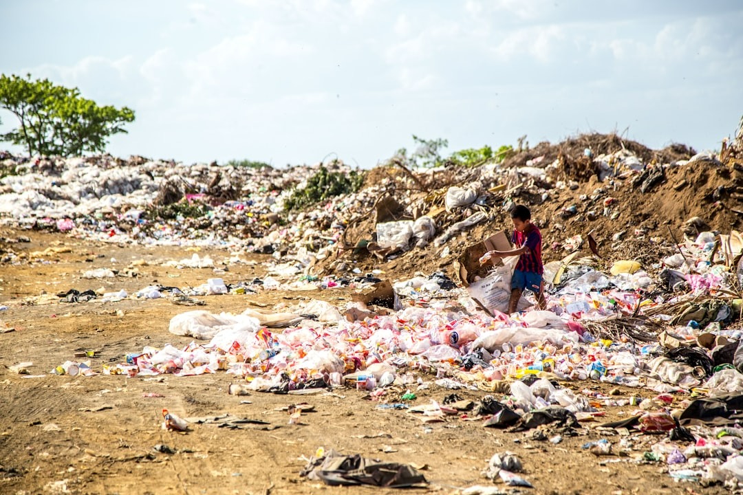 kitchen habits contribute to the accumulation of non-recyclables in landfills 