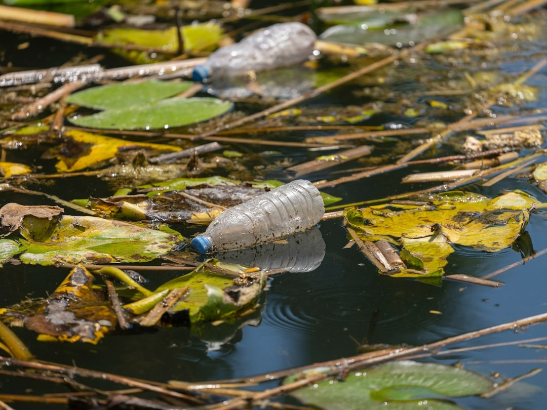 empty plastic water bottles floating in the river
